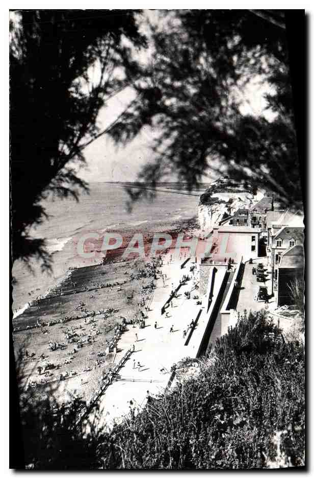 CPM Onival La Plage vue des Falaises