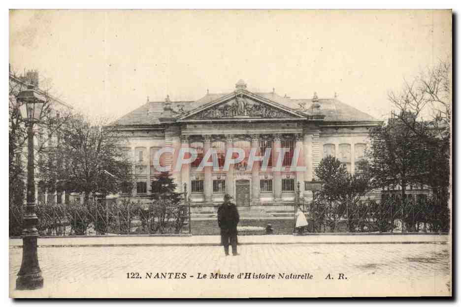 CPA Nantes Le Musee d'Histoire Naturelle