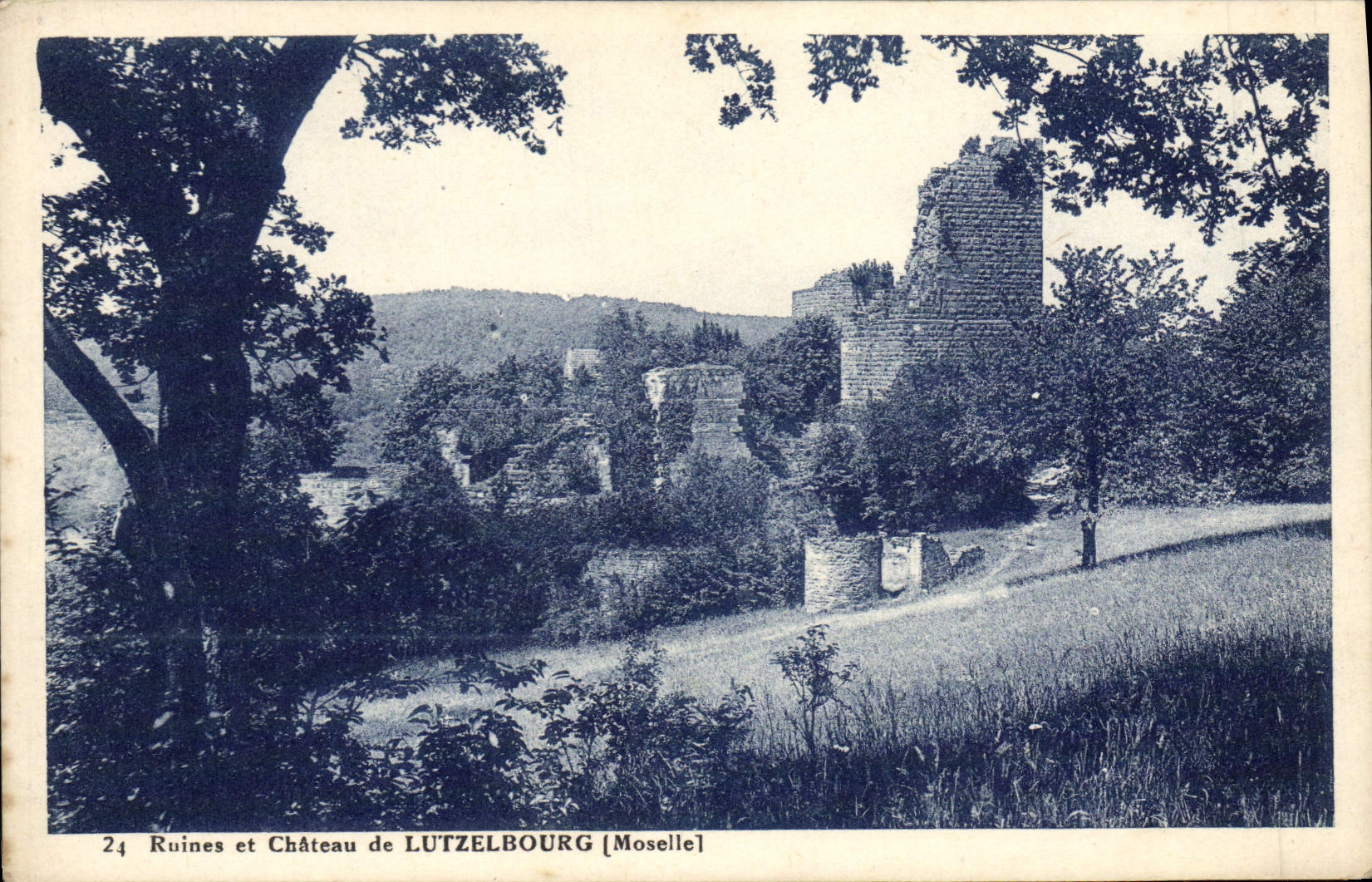 CPA Ruines et Chateau de Lutzelbourg