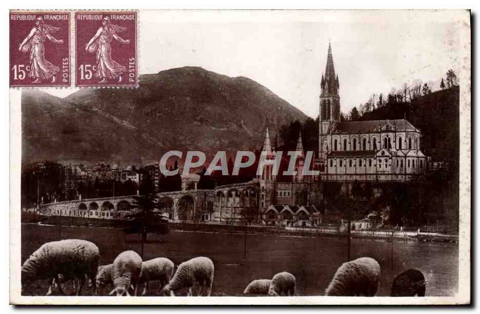 CPA Lourdes La basilique et le Pic du Jer Moutons