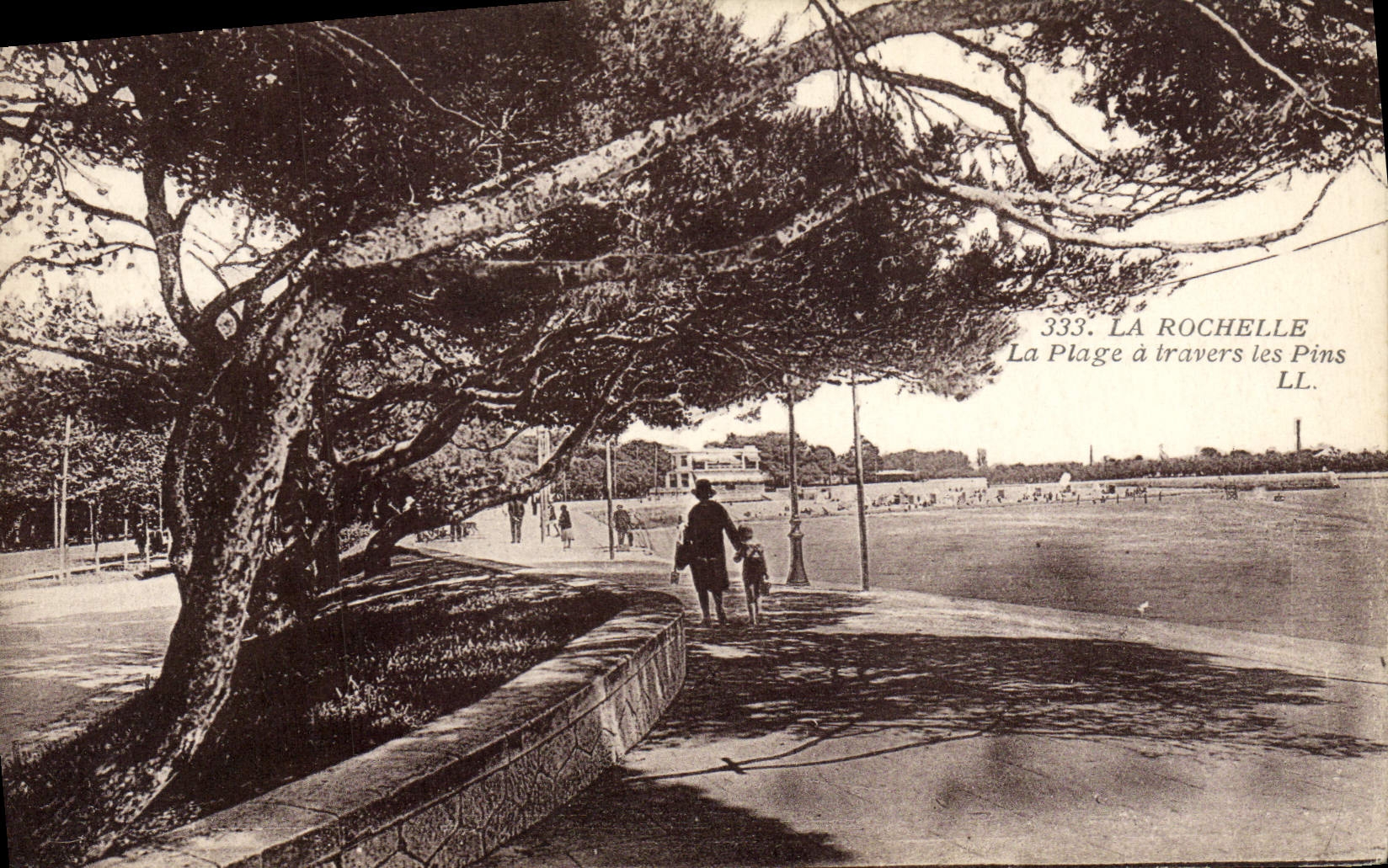 La Rochelle — La Plage à travers les Pins — LL. n°333