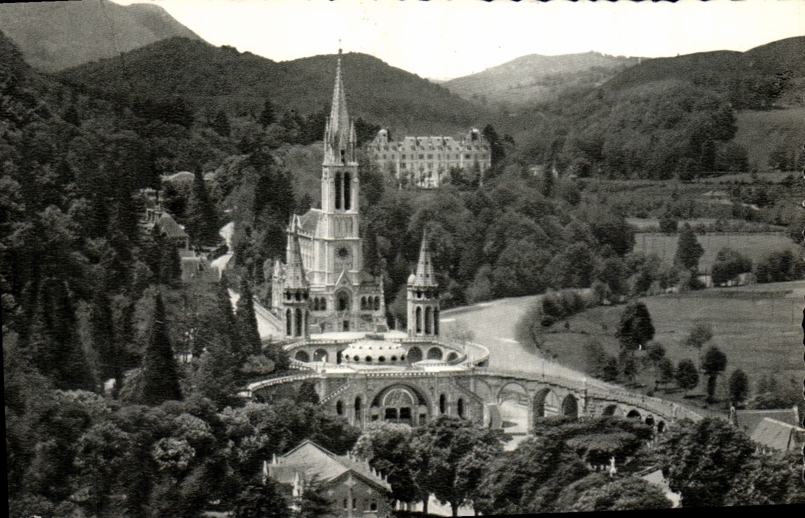 CPM Lourdes La Basilique et le Gave 