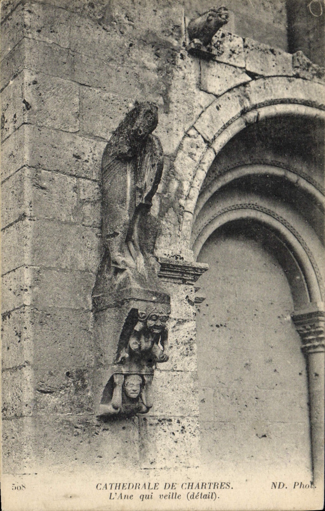 Cathédrale de Chartres — L'Âne qui veille (détail) — ND. Phot.