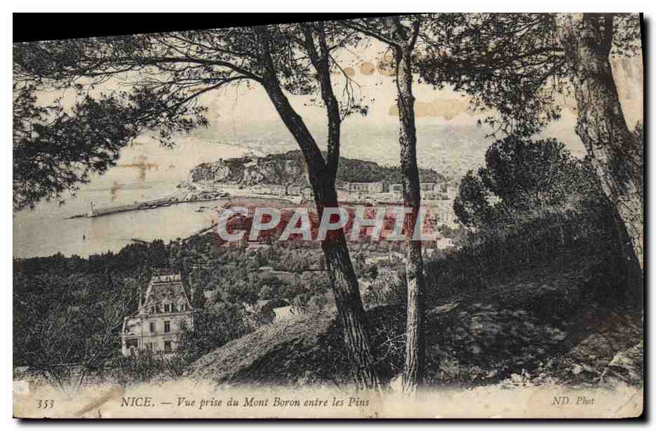 CPA Nice Vue Prise du Mont Boron entre les Pins