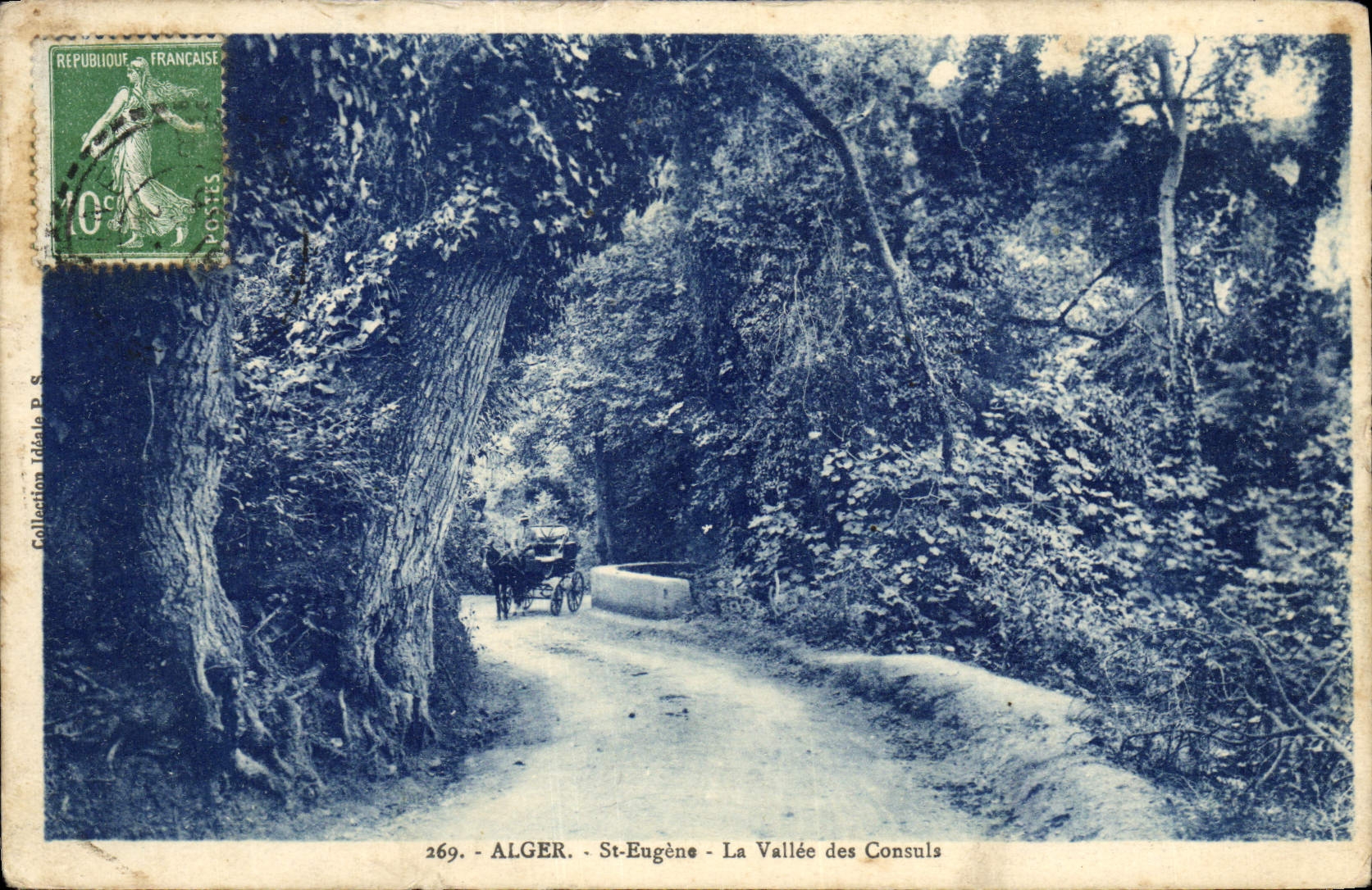 CPA Alger St Eugene La Vallee des Consuls