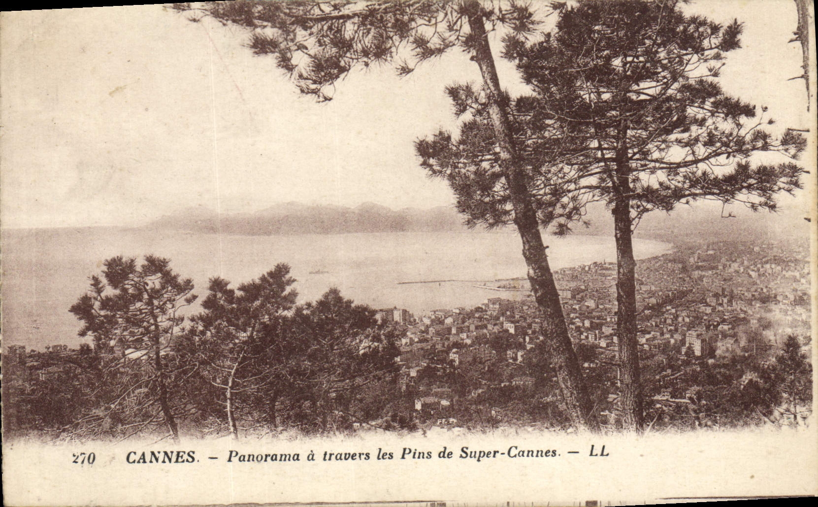 CPA Cannes Panorama a travers les Pins de Super Cannes 