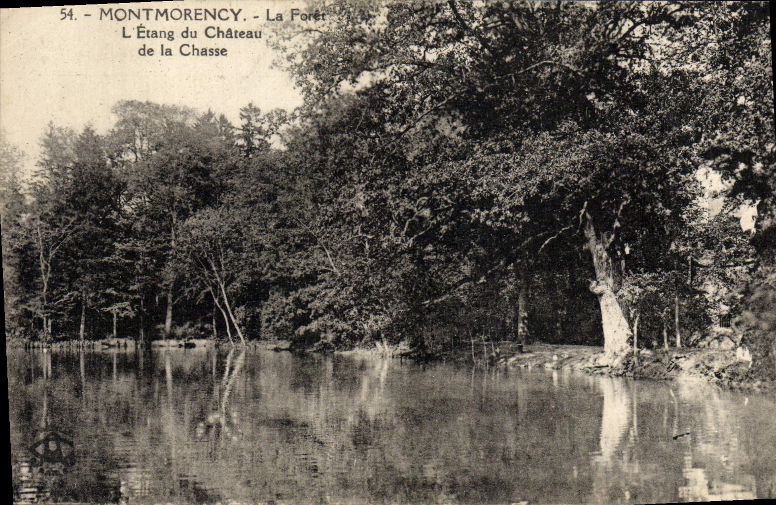 Montmorency - L'Étang du Château de la Chasse - La Forêt