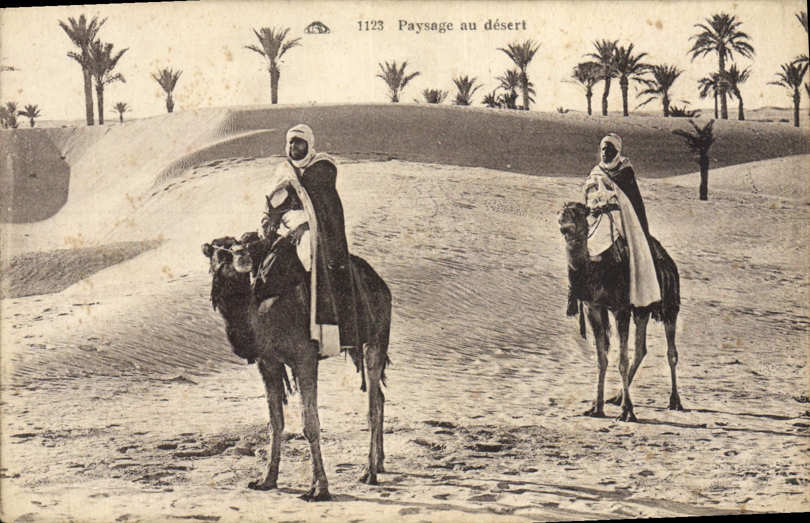 CPA Paysage au desert Chameaux