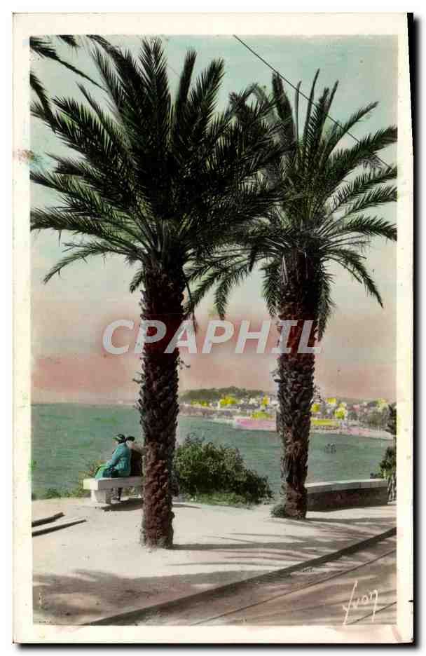 CPA Toulon Boulevard du Littoral Palmier