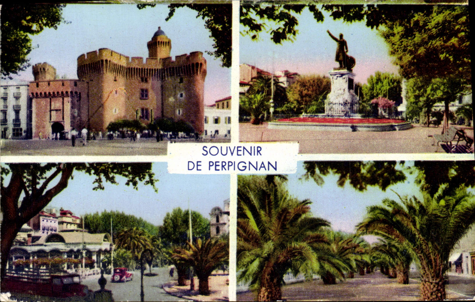 CPM Souvenir De Perpignan Le Castillet Place Arago Palmarium palmiers