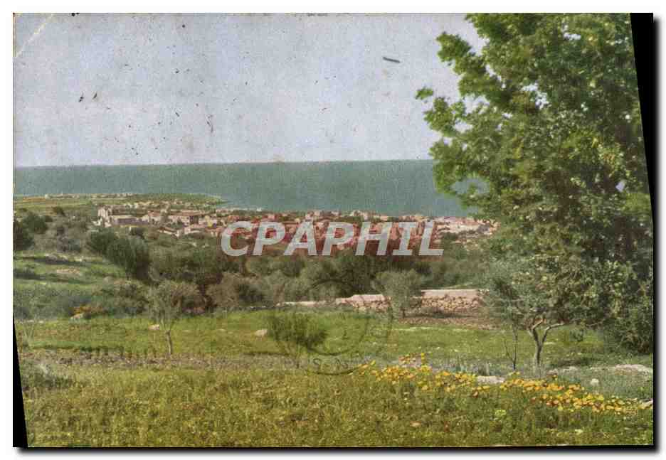 CPA Caifa