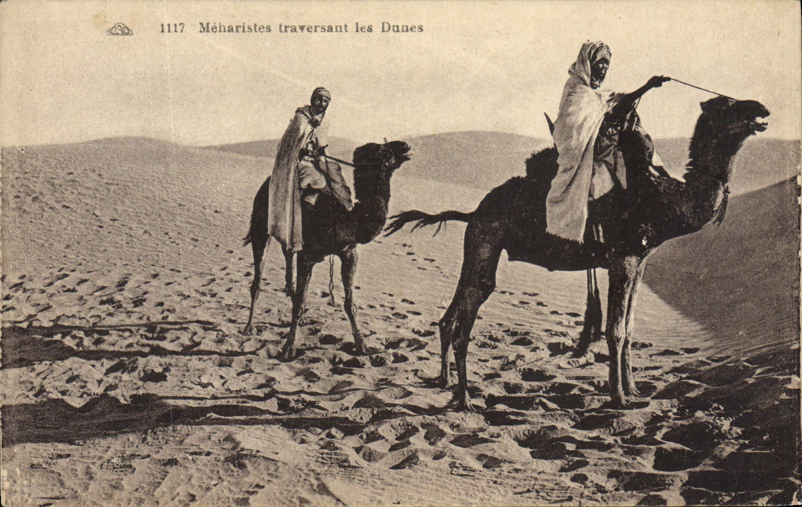 CPA Meharistes traversant les Dunes Chameau
