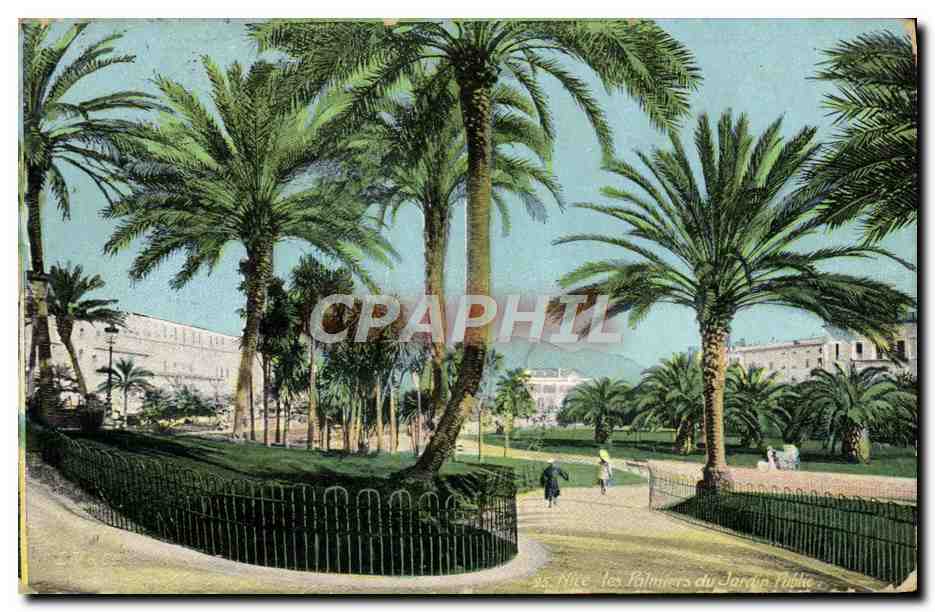 CPA Nice les Palmiers du Jardin public 