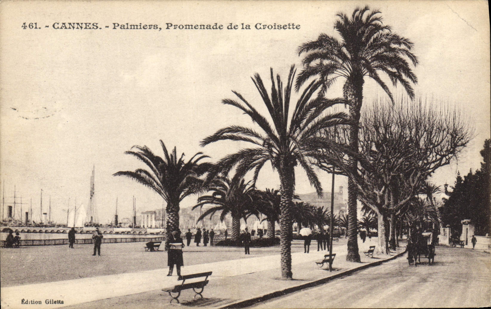 CPA Cannes Palmiers Promenade de la Croisette