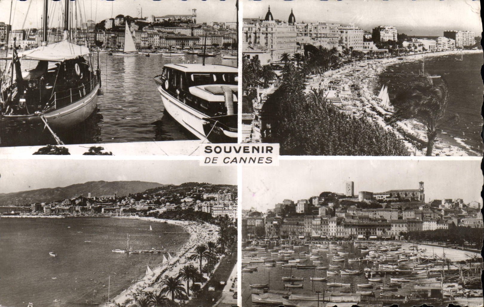 CPM Cannes Le port La croisette et le Mont Chevalier 
