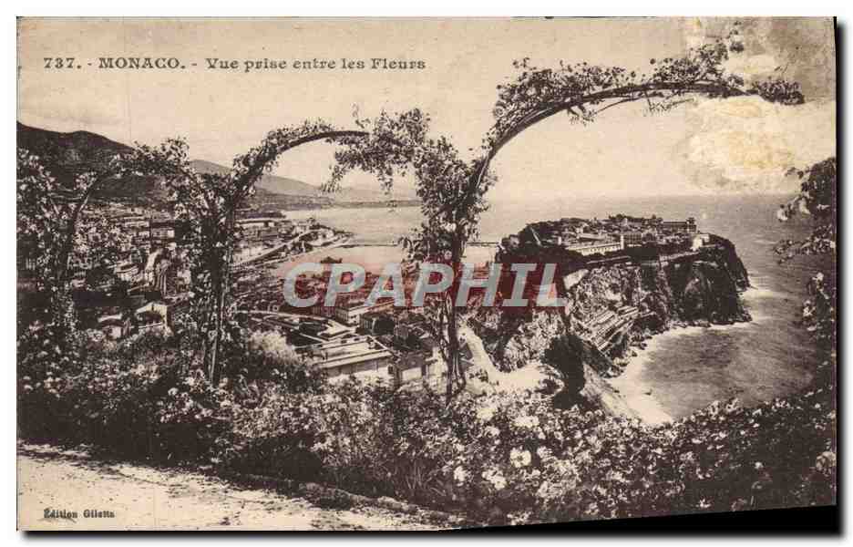 CPA Monaco Vue Prise entre les Fleurs