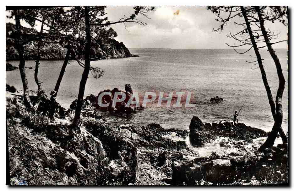 CPM Cannes Le Trayas 