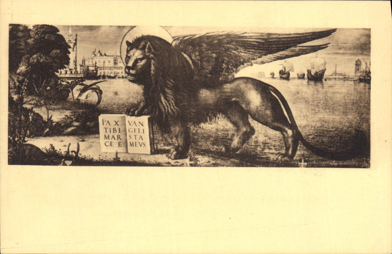 CPA Venezia Palozzo Ducale Leone del Carpaccio Lion