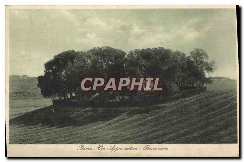 CPA Roma Via appia antica Bosco sacro