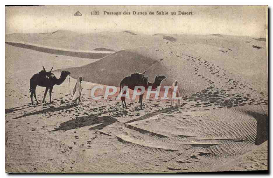CPA Passage des Dunes de Sable au Desert Chameaux