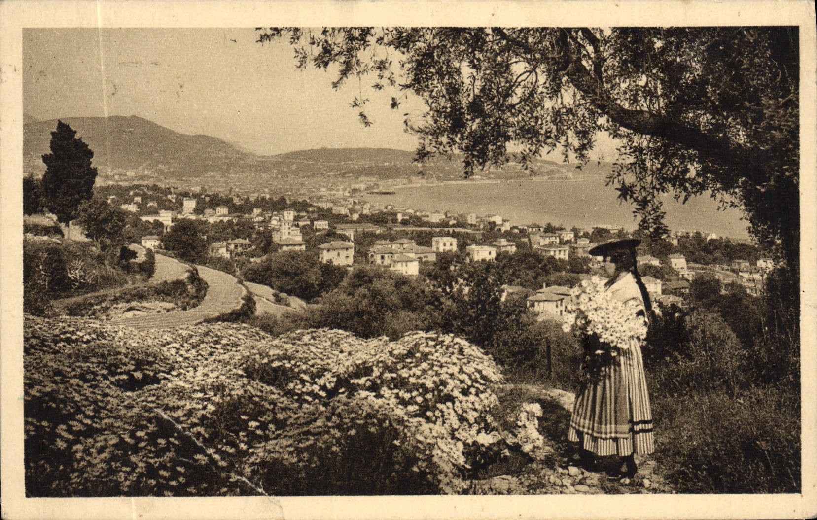 CPA Cote d'Azur Artistique Nice Entre les fleurs et les oliviers Folklore