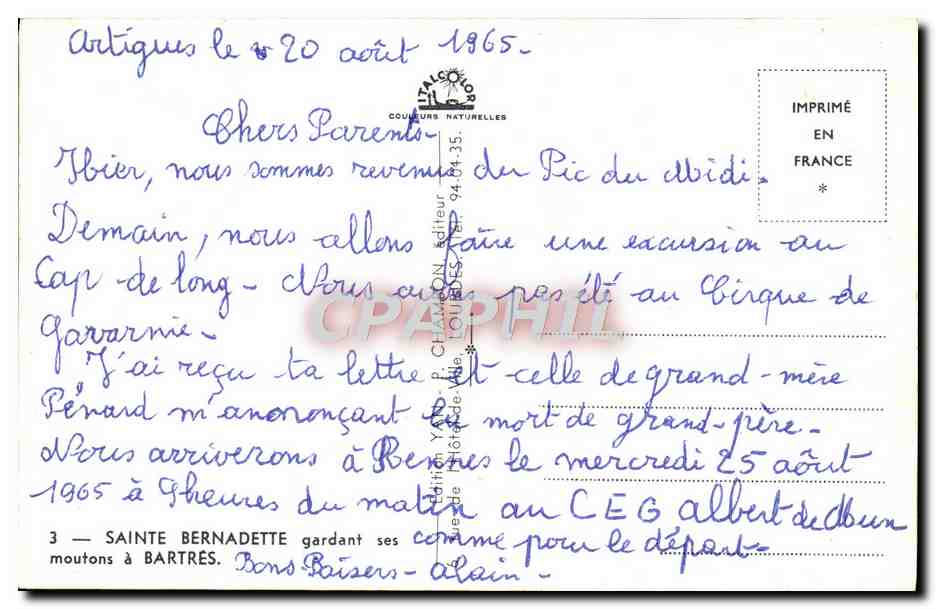 CPM Sainte Bernadette gardant ses Moutons a Bartres Moutons — Verso
