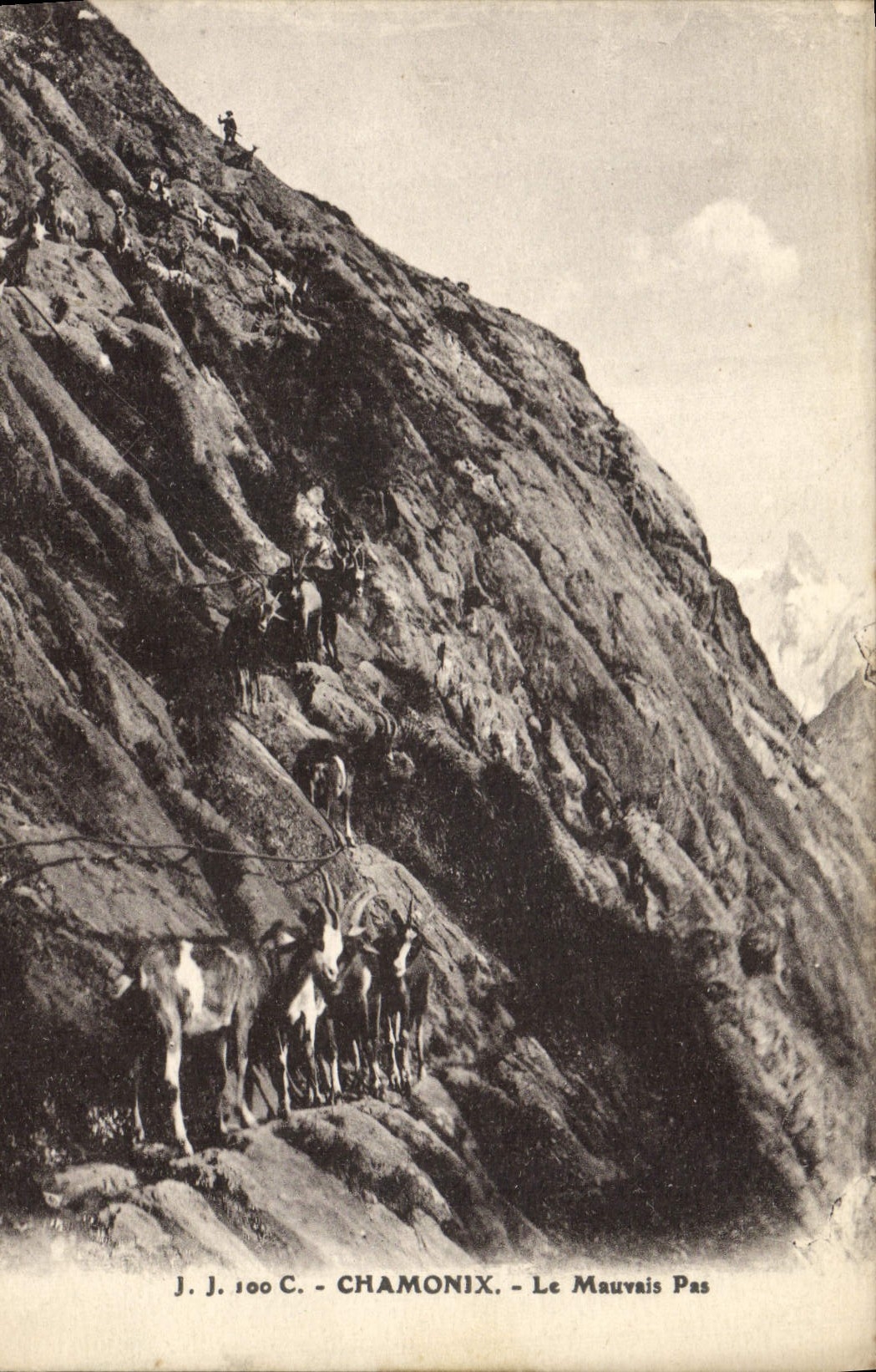 CPA Chamonix Le Mauvais Pas Chevre