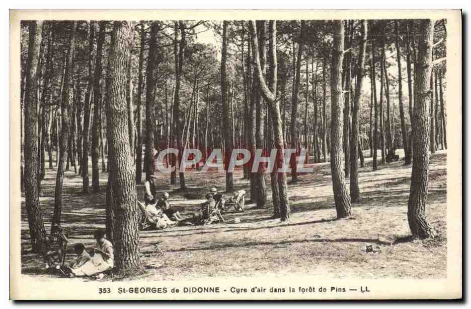 CPA St Georges de Didonne Cure d'air dans la foret de Pins 