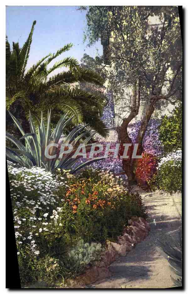 CPA Giardini Villa Mortola Ventimiglia
