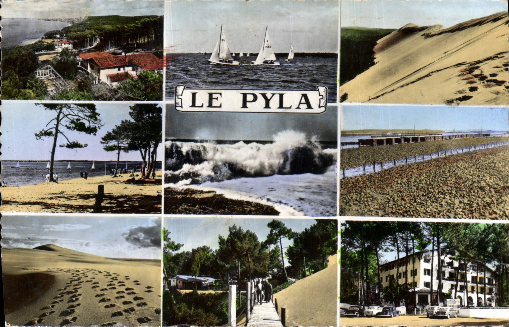 CPM Le Pyla La corniche Les voiles Cannetons en regates 