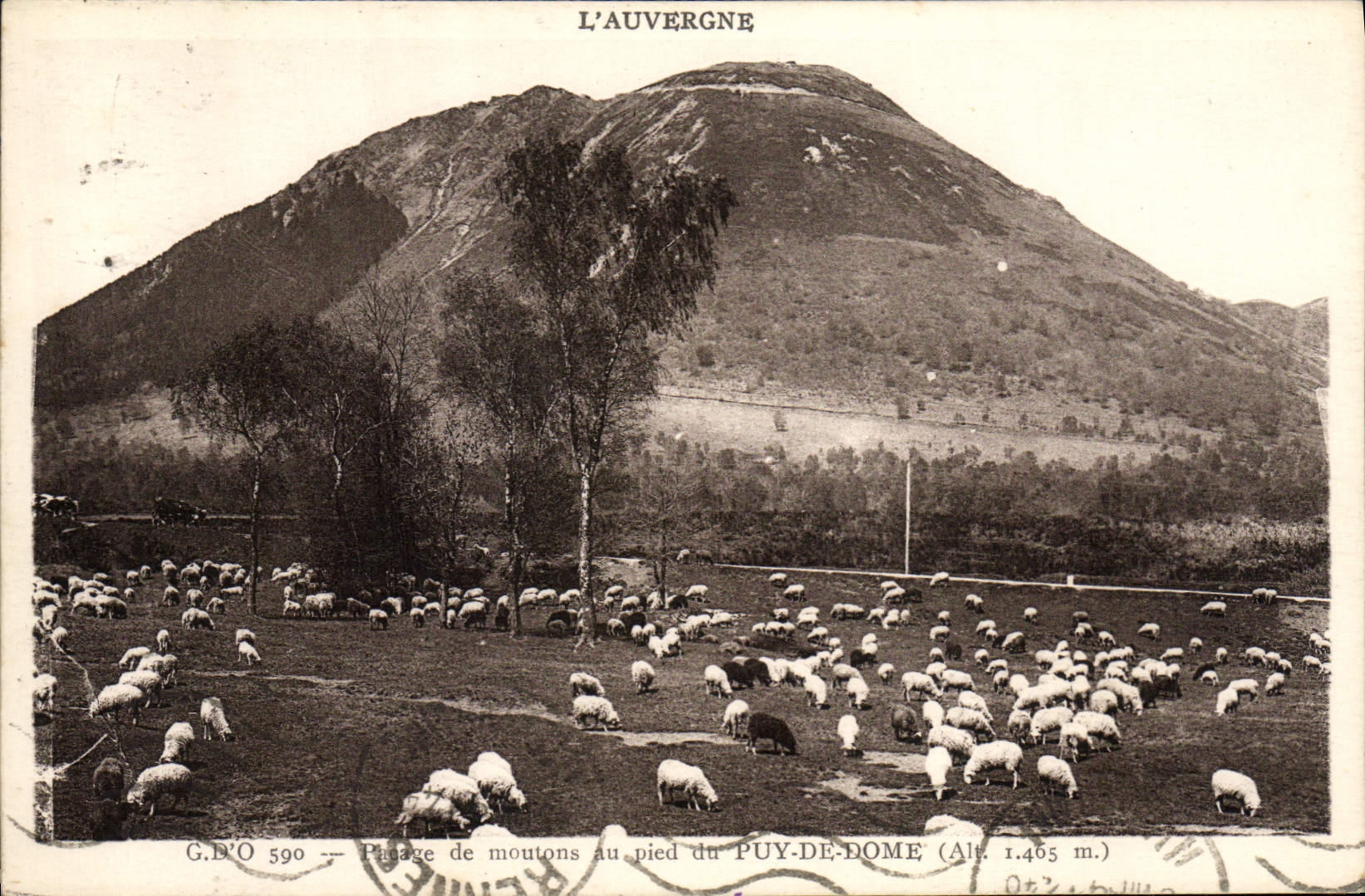 Pâturage de moutons au pied du Puy-de-Dôme (Alt. 1.465 m.) — L'Auvergne — G.D'O 590
