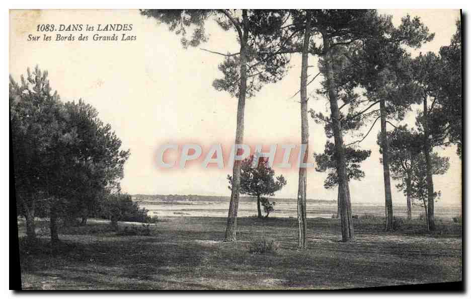CPA Dans Les Landes Sur les Bords des Grands Lacs