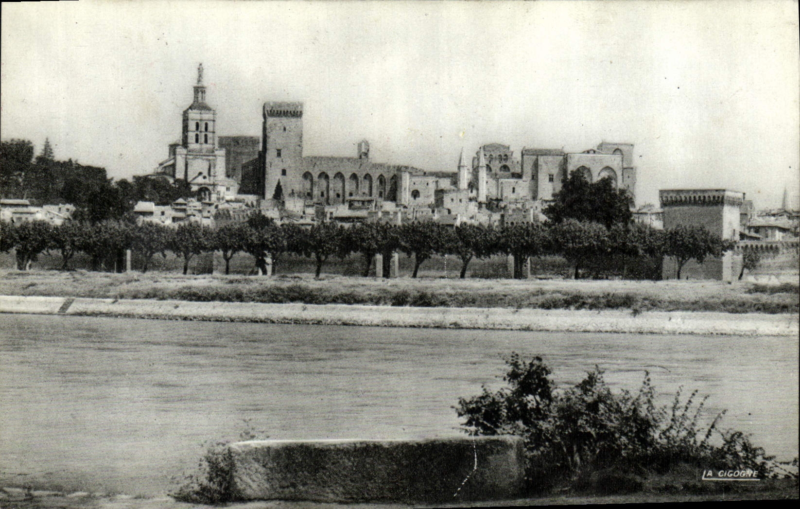CPA Avignon Le Palais des Papes vu de la rive droite du Rhone