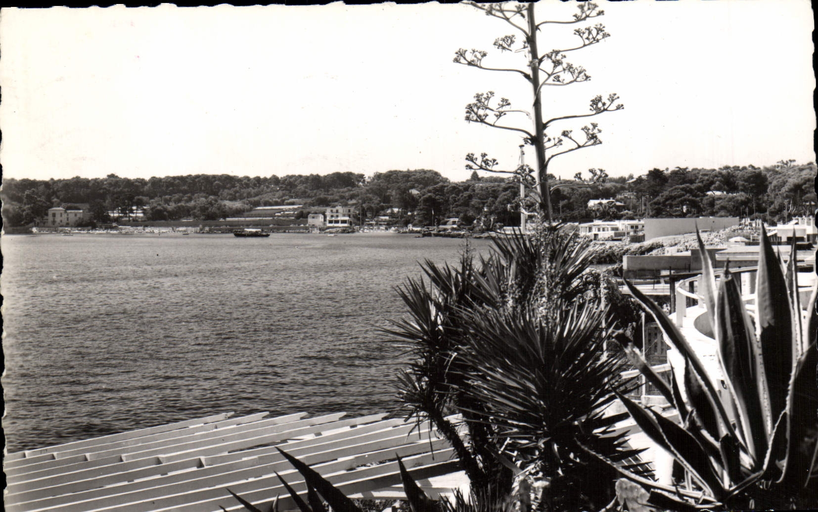 CPM La Garoupe Vue sur la Baie de la Garoupe et les plages