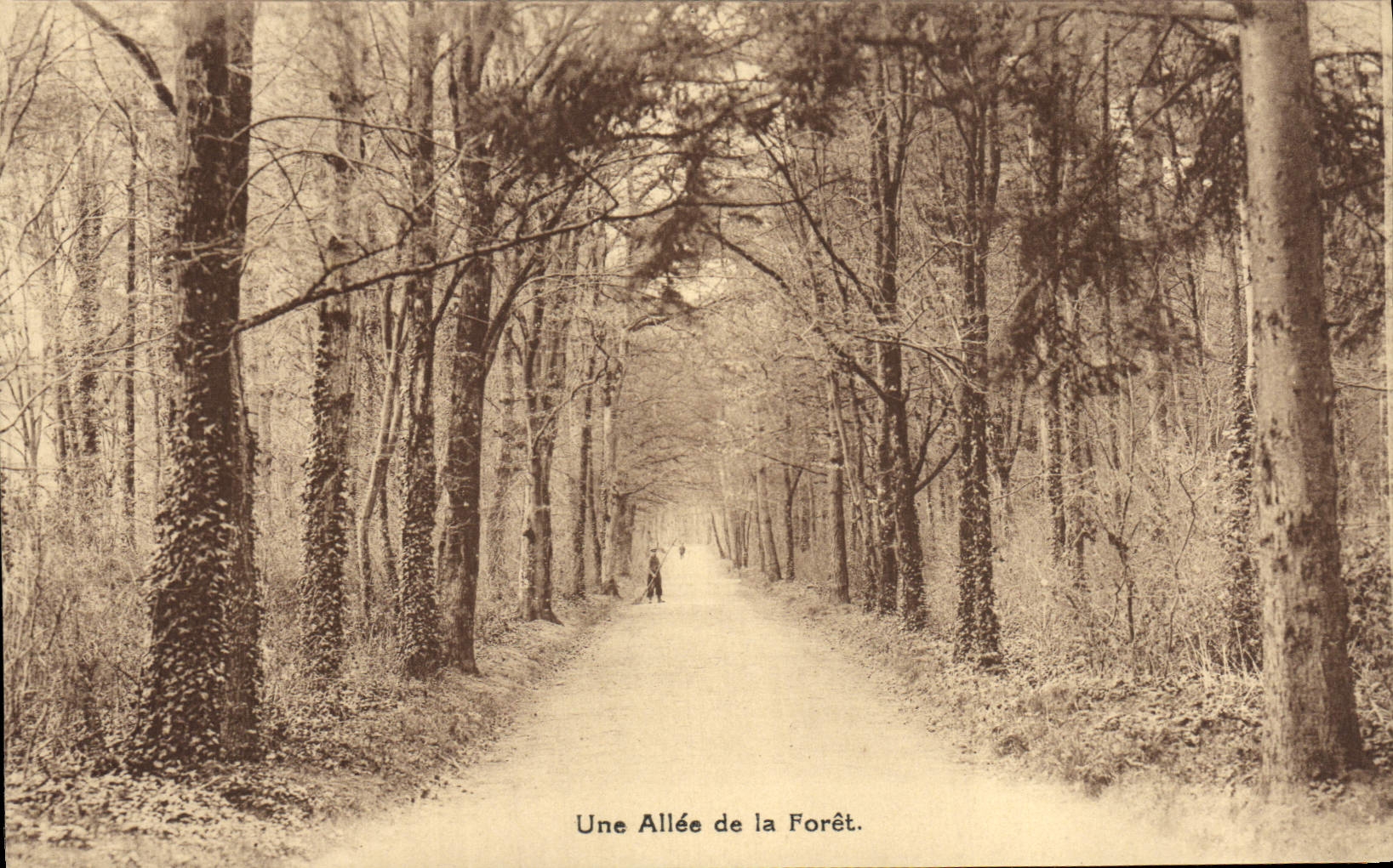 Ein Weg im Wald — Fontainebleau — Éditions Universitaires Tourte et Pelitia - Levallois-Paris - Vorderseite