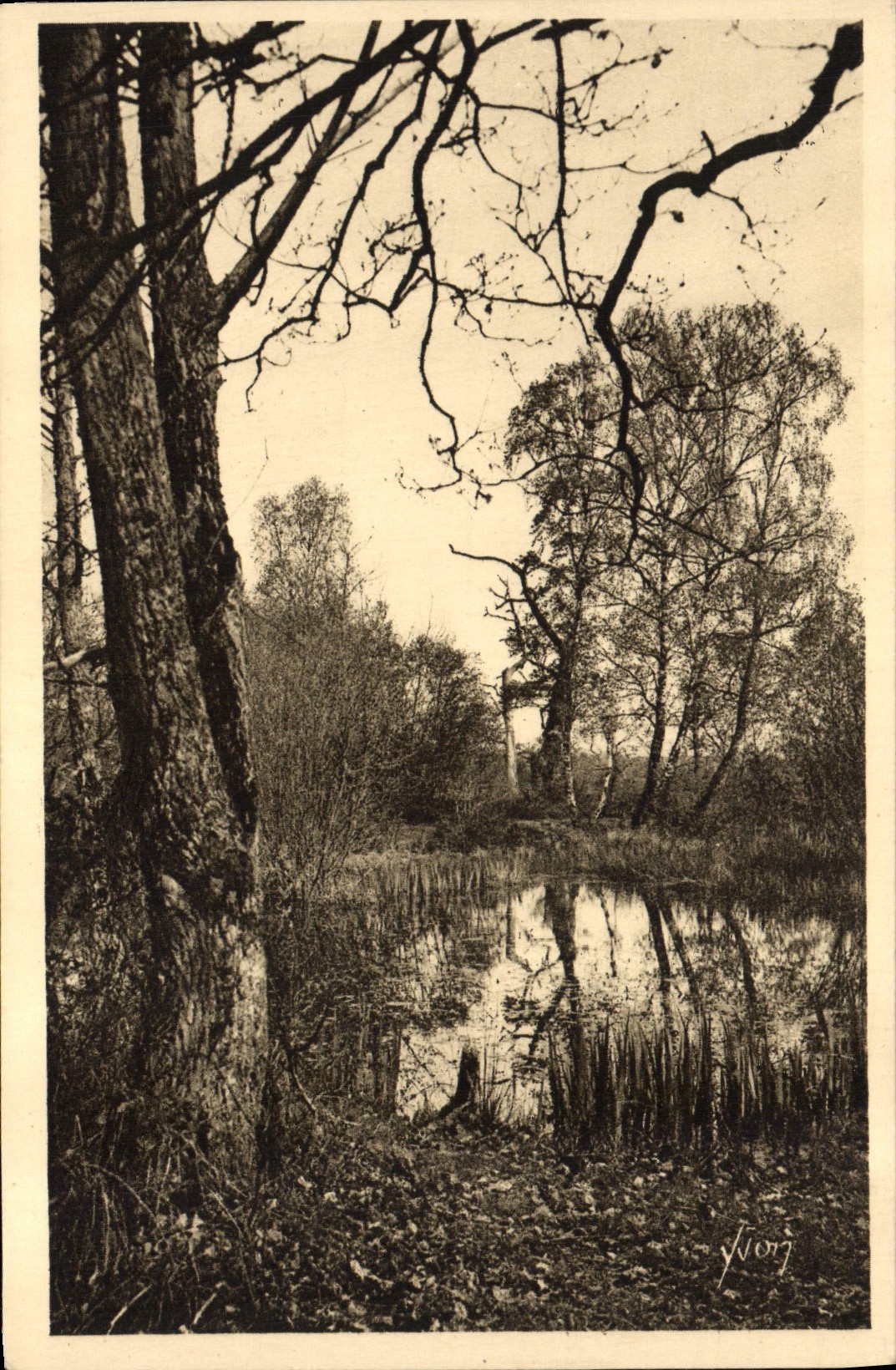 Bosque de Fontainebleau — La Mare aux Fées — Ediciones de Arte Yvon