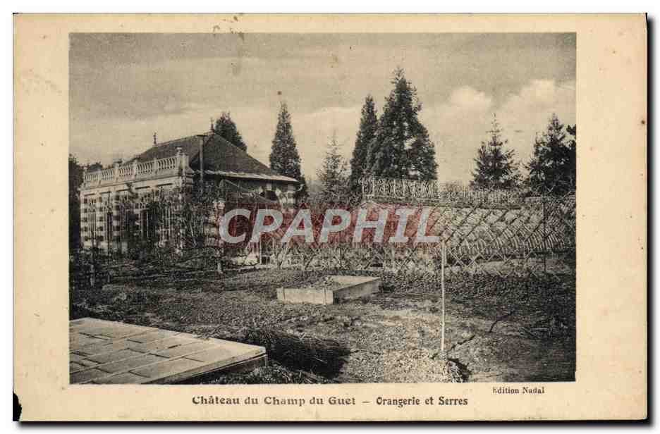 CPA Chateau Du Champ du Guet Orangerie et Serres