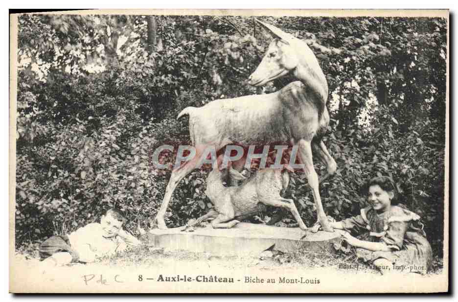 CPA Auxi Le Chateau Biche au Mont Louis Enfants