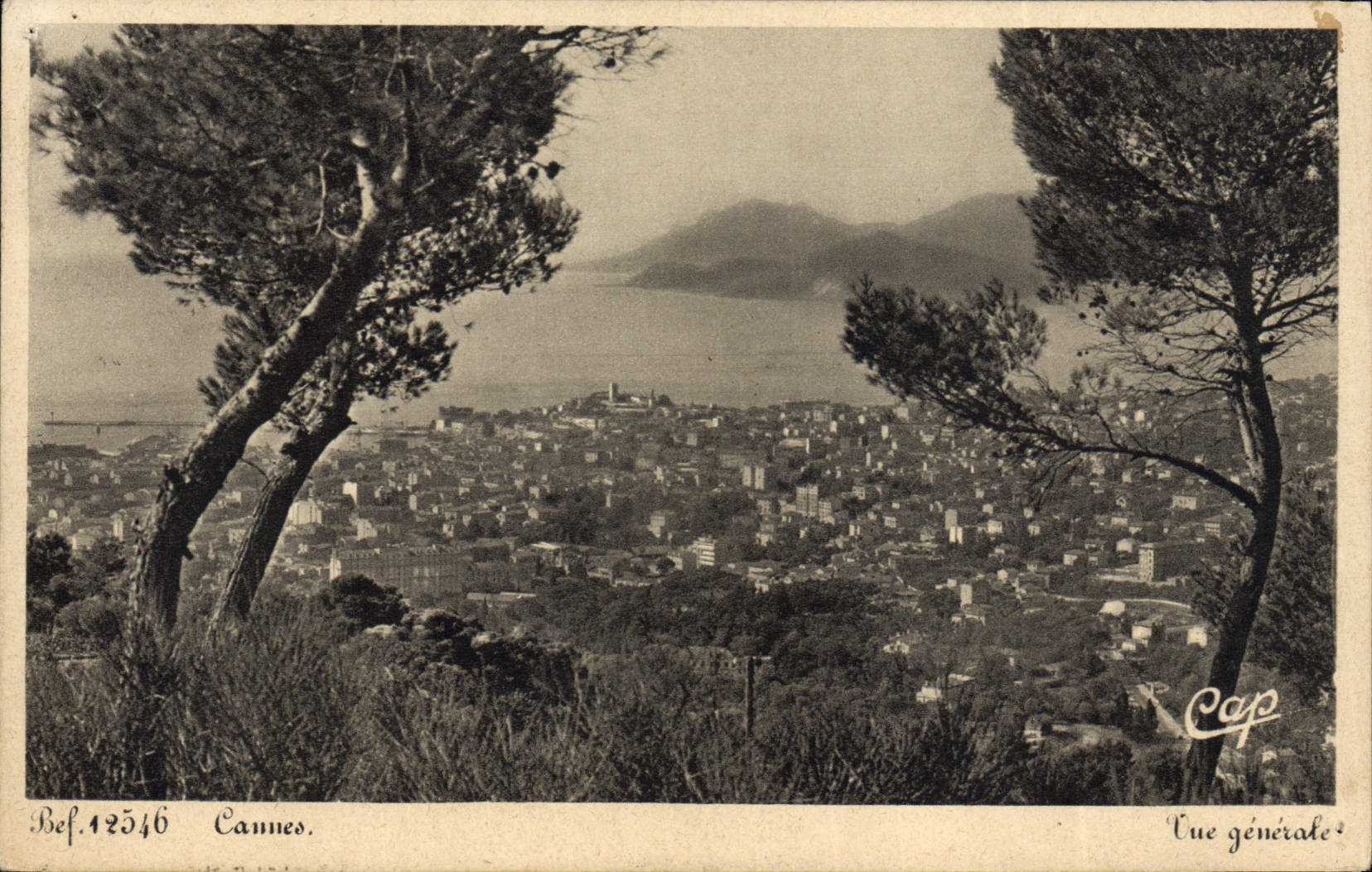 CPA Cannes Vue Generale