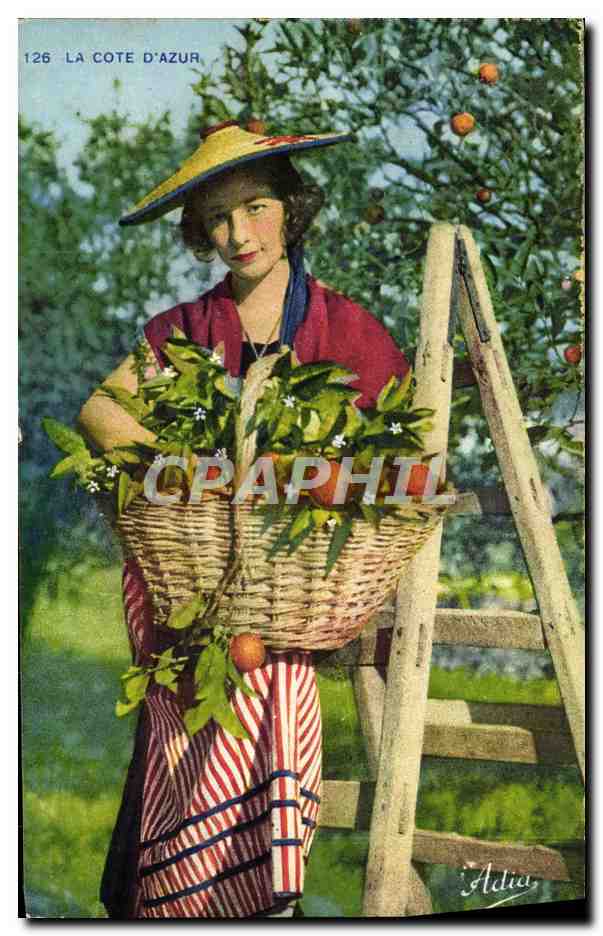 CPA La Cote D'Azur Femme Folklore Cueillette des oranges