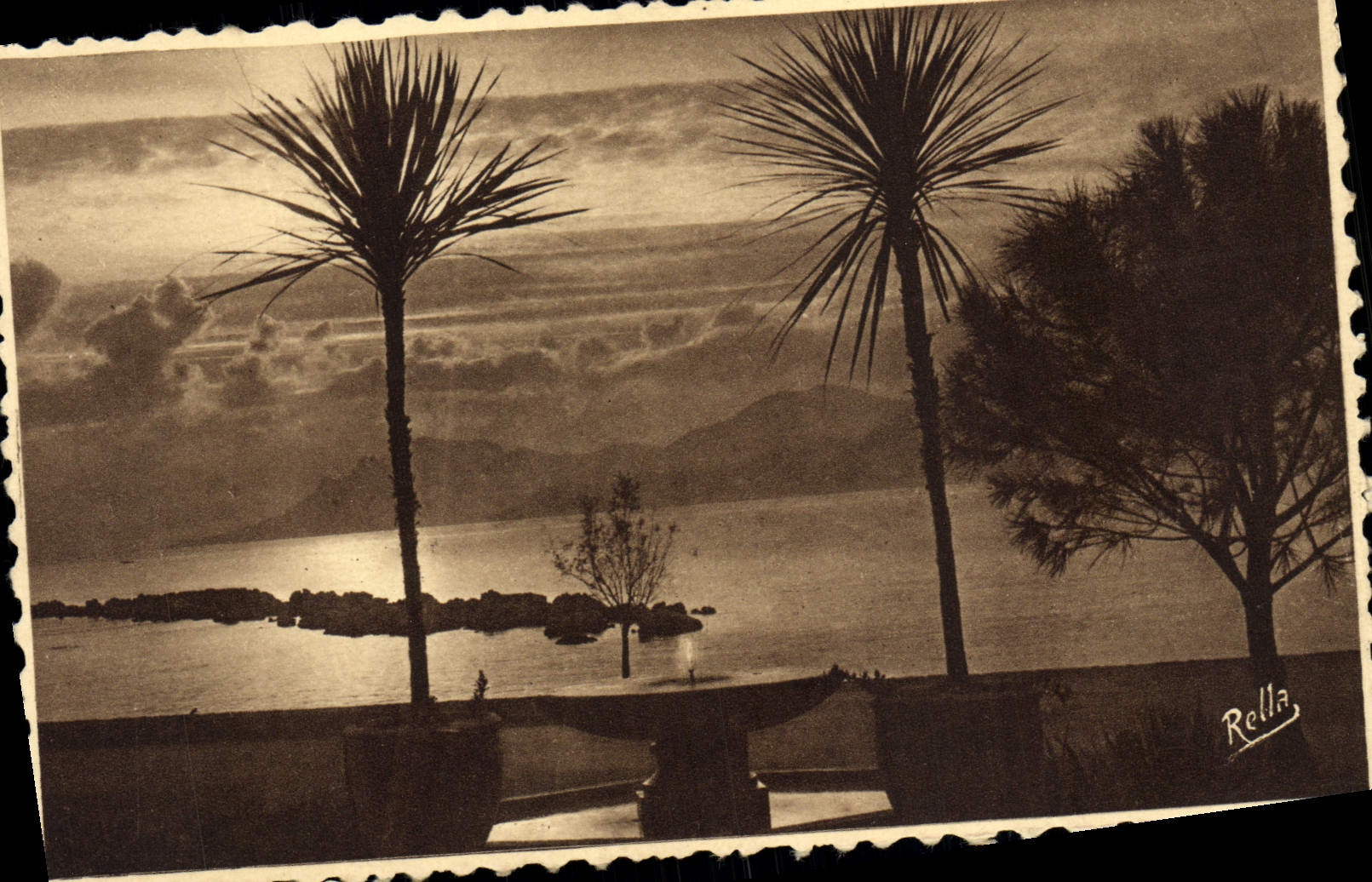 CPA Cannes Coucher de Soleil au Parc Albert 1er