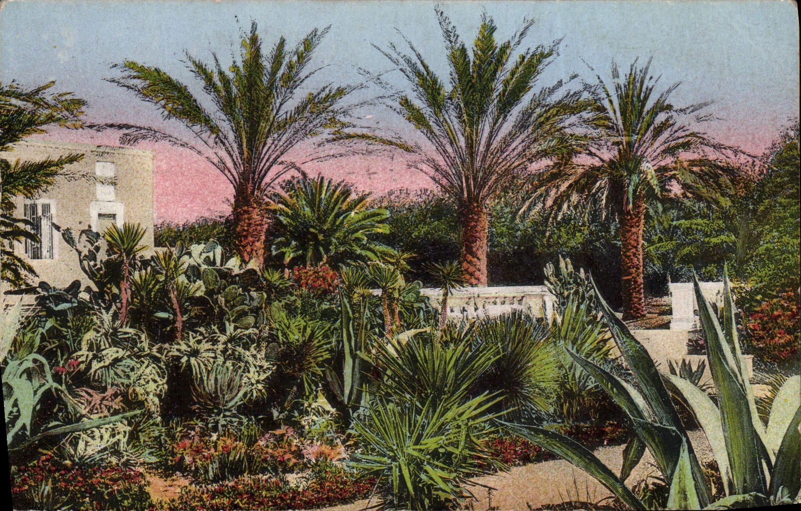 CPA Flore Artistique Jardin Villa Palmiers