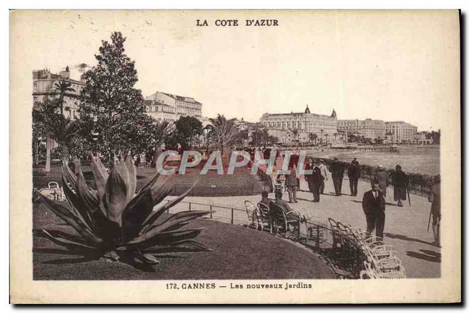 CPA Cannes Les Nouveaux jardins