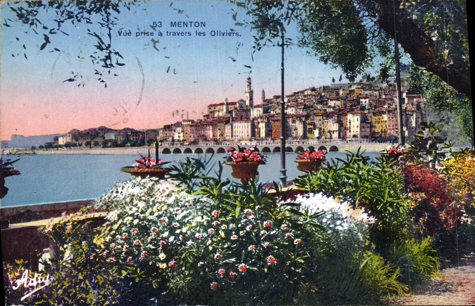 CPA Menton Vue Prise a travers les Oliviers