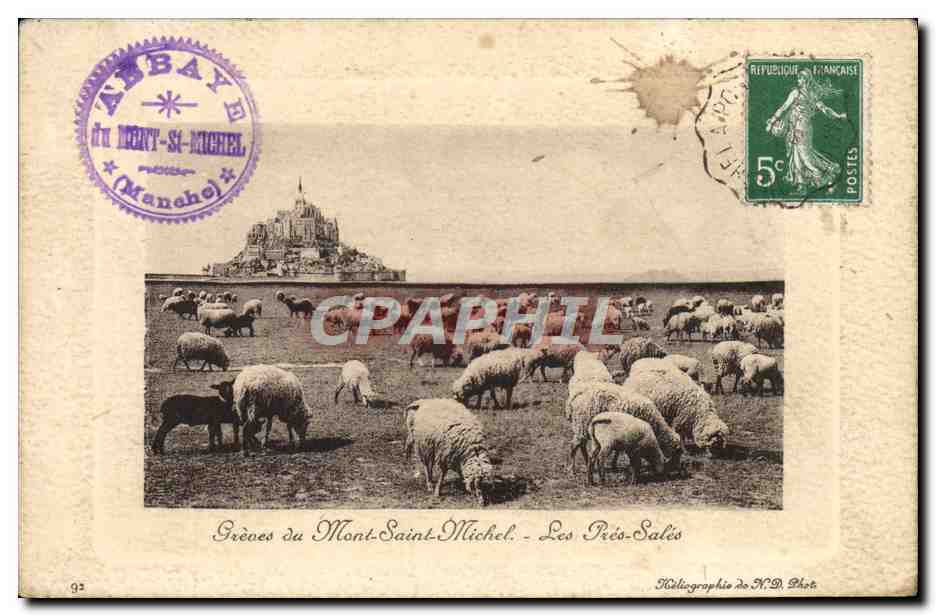 CPA Le Mont St Michel Greves Les Pres Sales Moutons 