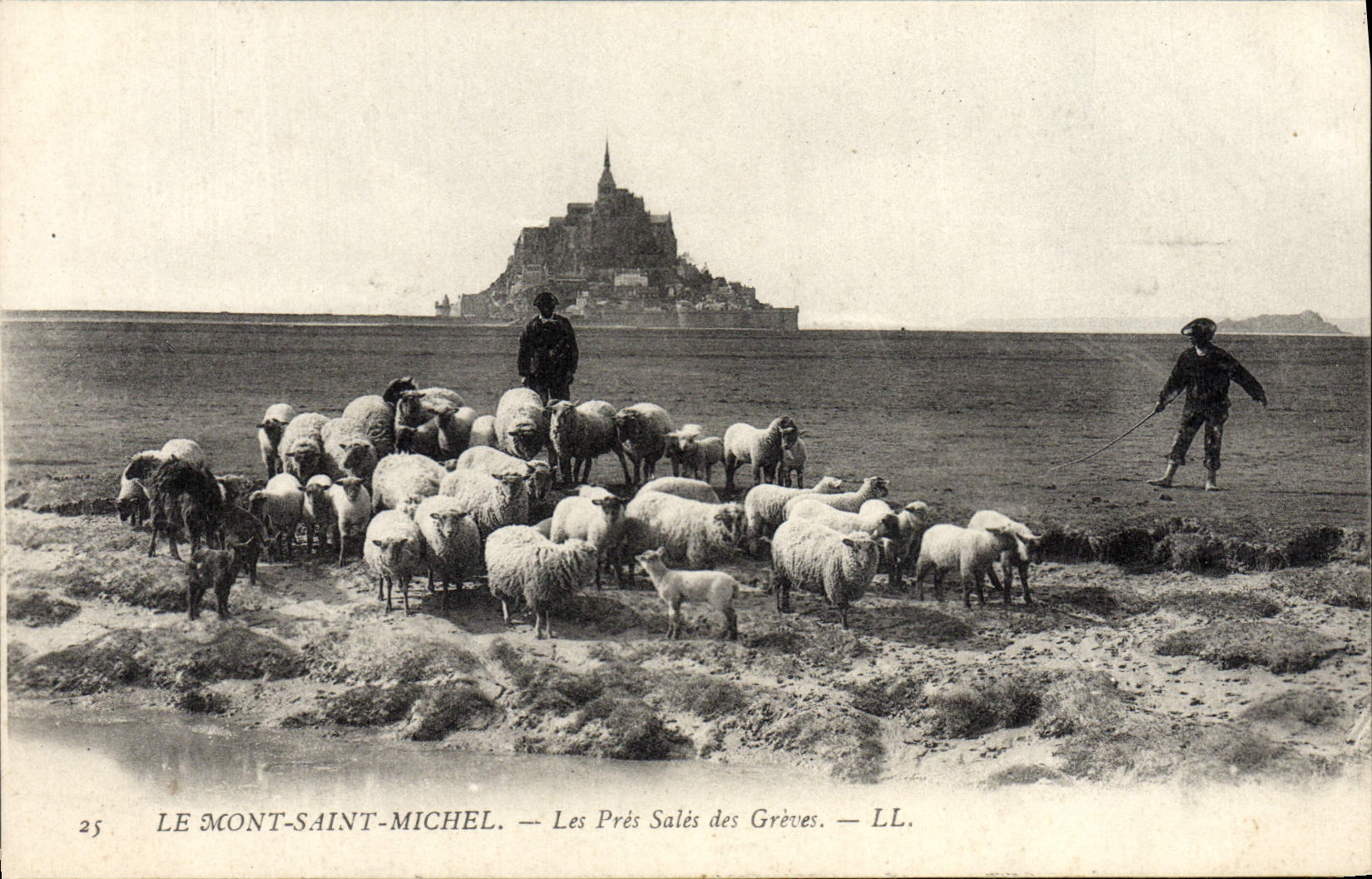 CPA Le Mont Saint Michel Les Pres Sales des Greves Berger Moutons 