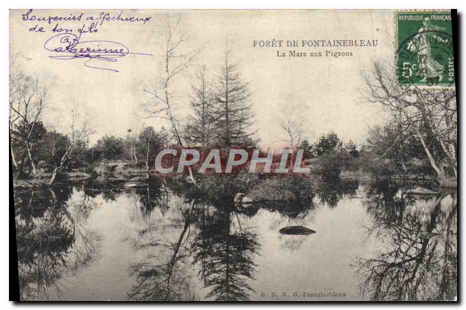 Forêt de Fontainebleau — La Mare aux Pigeons — G. B. N. G. Fontainebleau