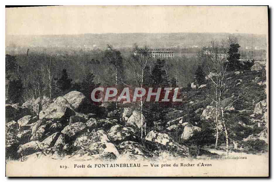 Forêt de FONTAINEBLEAU — Vue prise du Rocher d'Avon — Édition Fontainebleau, n° 319