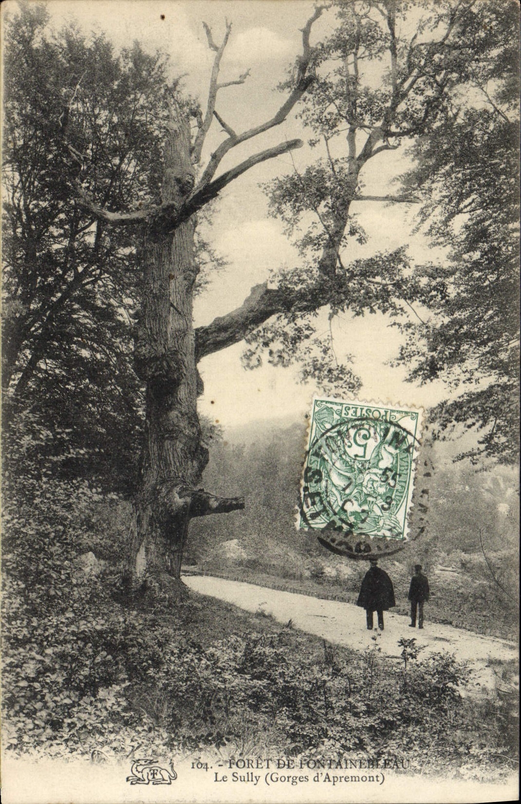Le Sully (Gorges d'Apremont) — Forêt de Fontainebleau — Verlag unbekannter Drucker, n° 164