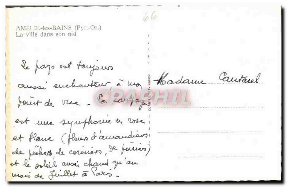 CPM Amelie les Bains La Ville dans son nid  — Rückseite